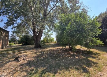 Foto 30 - Villa Via Ro, Ferrara - foto 30