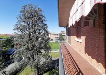 Giardino - Villa via Monte Grappa, 27, Leini - foto 42