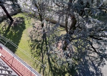 Giardino - Villa via Monte Grappa, 27, Leini - foto 44