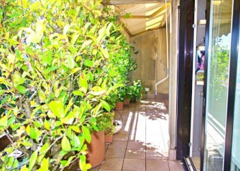 Terrazzo - Appartamento Busto Arsizio - foto 18