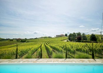 Piscina - Villa strada Bricco, 46, Nizza Monferrato - photo 5