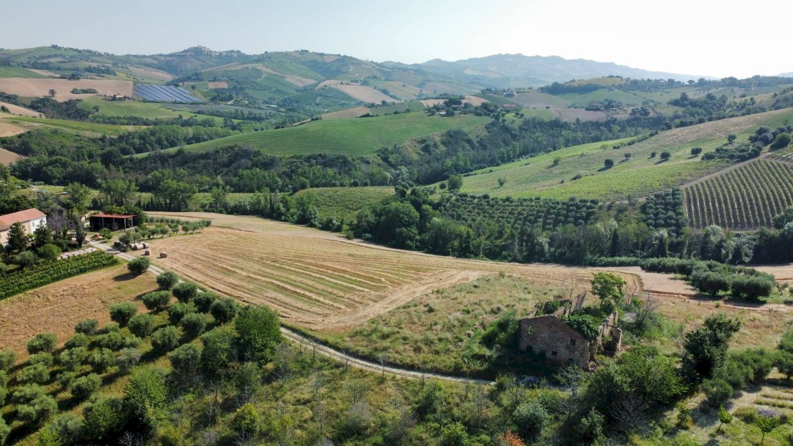 Foto 2 - Rustico contrada Franile, Castignano - foto 2