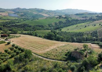 Foto 2 - Rustico contrada Franile, Castignano - foto 2