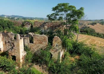 Foto 3 - Rustico contrada Franile, Castignano - foto 3