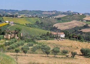 Foto 4 - Rustico contrada Franile, Castignano - foto 4