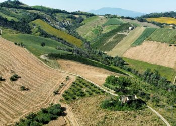 Foto 5 - Rustico contrada Franile, Castignano - foto 5