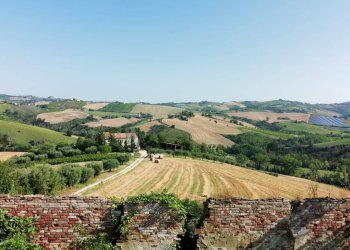 Foto 6 - Rustico contrada Franile, Castignano - foto 6
