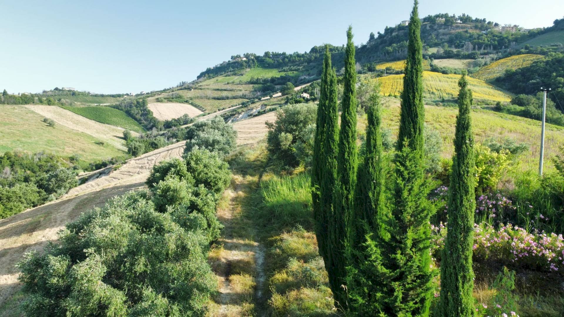 Foto 2 - Rustico via Ghisleri
0, Ripatransone - foto 2