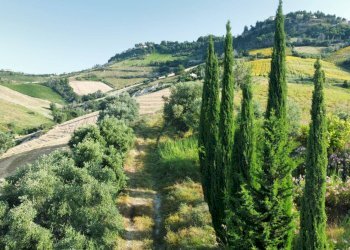 Foto 2 - Rustico via Ghisleri
 
0, Ripatransone - foto 2