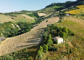 Foto 4 - Rustico via Ghisleri
 
0, Ripatransone - foto 4