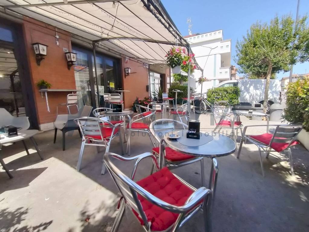 Giardino - Bar Tavola Calda - Fredda via Bonifica, Ravenna - foto 1