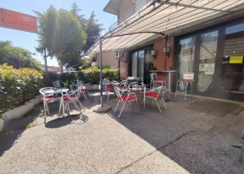 Giardino - Bar Tavola Calda - Fredda via Bonifica, Ravenna - foto 9
