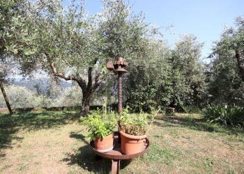 RUSTICO IN PIETRA - IA04258 (21) - Casale Località Corso 1, Pescaglia - foto 5