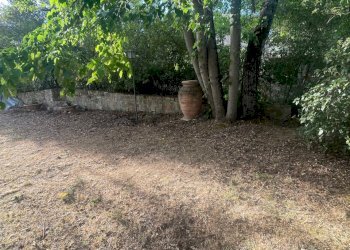 IMG_8504 - Independent house Case Sparse 9, Magione - photo 12