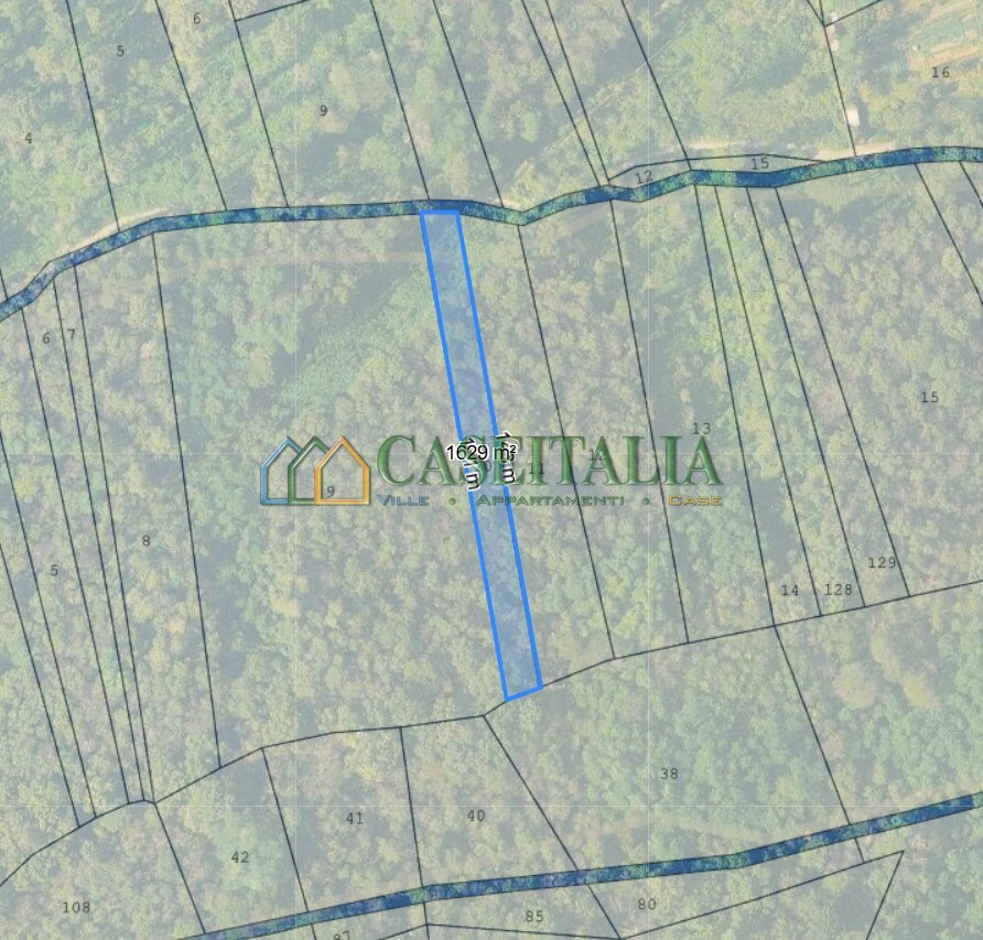 MAPPA - Terreno agricolo Strada Pietra Chiavoira, Rivoli - foto 1