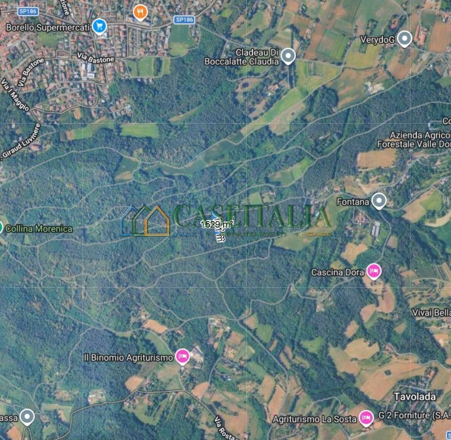 MAPPA - Terreno agricolo Strada Pietra Chiavoira, Rivoli - foto 3