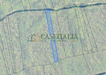 MAPPA - Terreno agricolo Strada Pietra Chiavoira, Rivoli - foto 1