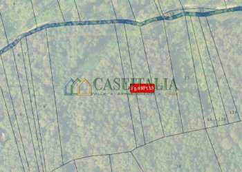 MAPPA - Terreno agricolo Strada Pietra Chiavoira, Rivoli - foto 2
