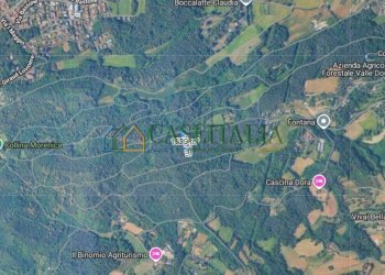 MAPPA - Terreno agricolo Strada Pietra Chiavoira, Rivoli - foto 3