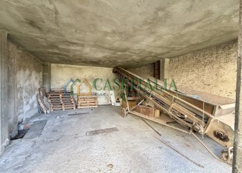 STALLA - Casale Via Rivoli, Villarbasse - photo 14