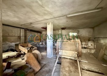 STALLA - Casale Via Rivoli, Villarbasse - photo 15