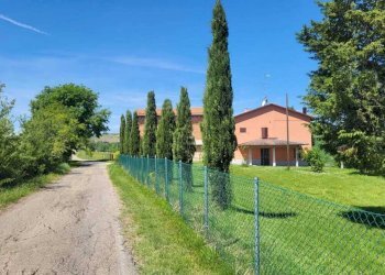 IMG-20260511-WA0015[1] - Casale Via Secchiano 1767, Valsamoggia - foto 6