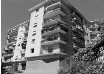 2.jpg - Appartamento Via Alcide De Gasperi 30, Campomorone - foto 1
