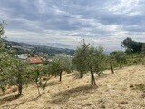 d92f5e26-9068-4bc7-8b26-694b2bd35c7e - Agricultural land Strada Alla Colla snc, Sanremo - photo 1