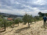 737ba546-f248-442b-94f5-9fdc20c5efea - Agricultural land Strada Alla Colla snc, Sanremo - photo 2