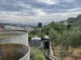 39636e62-ade1-447c-b14a-ad2f47495b3d - Agricultural land Strada Alla Colla snc, Sanremo - photo 3