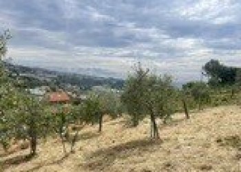 d92f5e26-9068-4bc7-8b26-694b2bd35c7e - Agricultural land Strada Alla Colla snc, Sanremo - photo 1