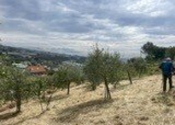 737ba546-f248-442b-94f5-9fdc20c5efea - Agricultural land Strada Alla Colla snc, Sanremo - photo 2