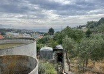 39636e62-ade1-447c-b14a-ad2f47495b3d - Agricultural land Strada Alla Colla snc, Sanremo - photo 3