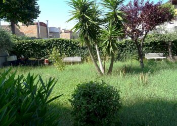 giardino privato - Apartment Senigallia - photo 17