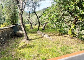 IMG_8165 (Grande) - Casale Via Generale Zanelli 21, Lerici - foto 9