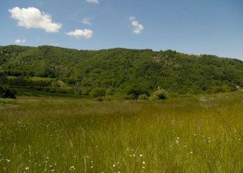 Casale Bonvicino - photo 13