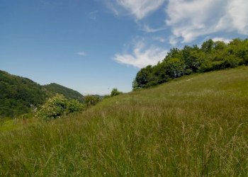 Casale Bonvicino - photo 14