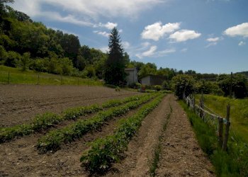Casale Bonvicino - photo 15