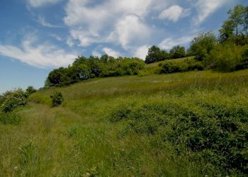 Casale Bonvicino - photo 16
