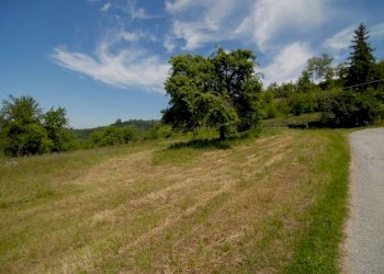Casale Bonvicino - photo 19