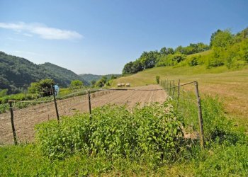 Casale Bonvicino - photo 22