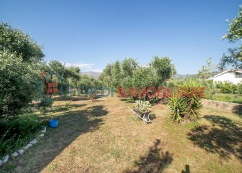 Independent house Priverno - photo 7