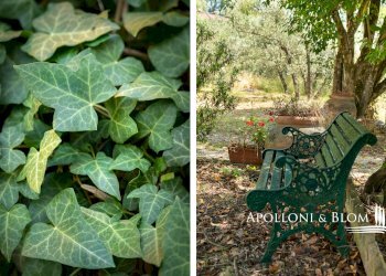 Villa Unifamiliare strada provinciale 21, 63, Arezzo - foto 42