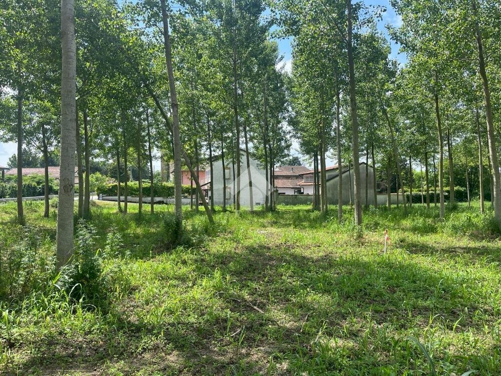 Terreno edificabile Via Folletta, Boffalora Sopra Ticino - foto 3