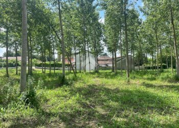 Terreno edificabile Via Folletta, Boffalora Sopra Ticino - foto 3