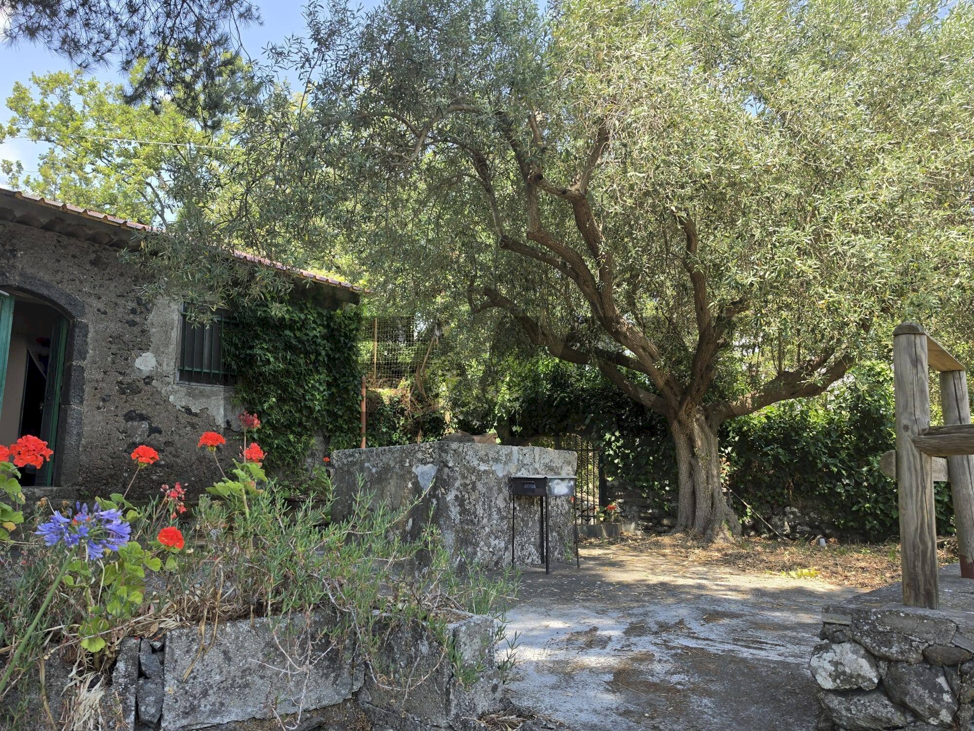 Giardino - Independent house Via Bardazzi Chiuse del Signore
 
snc, Piedimonte Etneo - photo 1