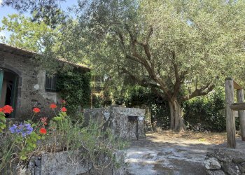 Giardino - Independent house Via Bardazzi Chiuse del Signore
snc, Piedimonte Etneo - photo 1