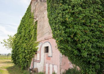 Casa all\'aperto - Rustic via San Bernardo
 
61, Chiaravalle - photo 17