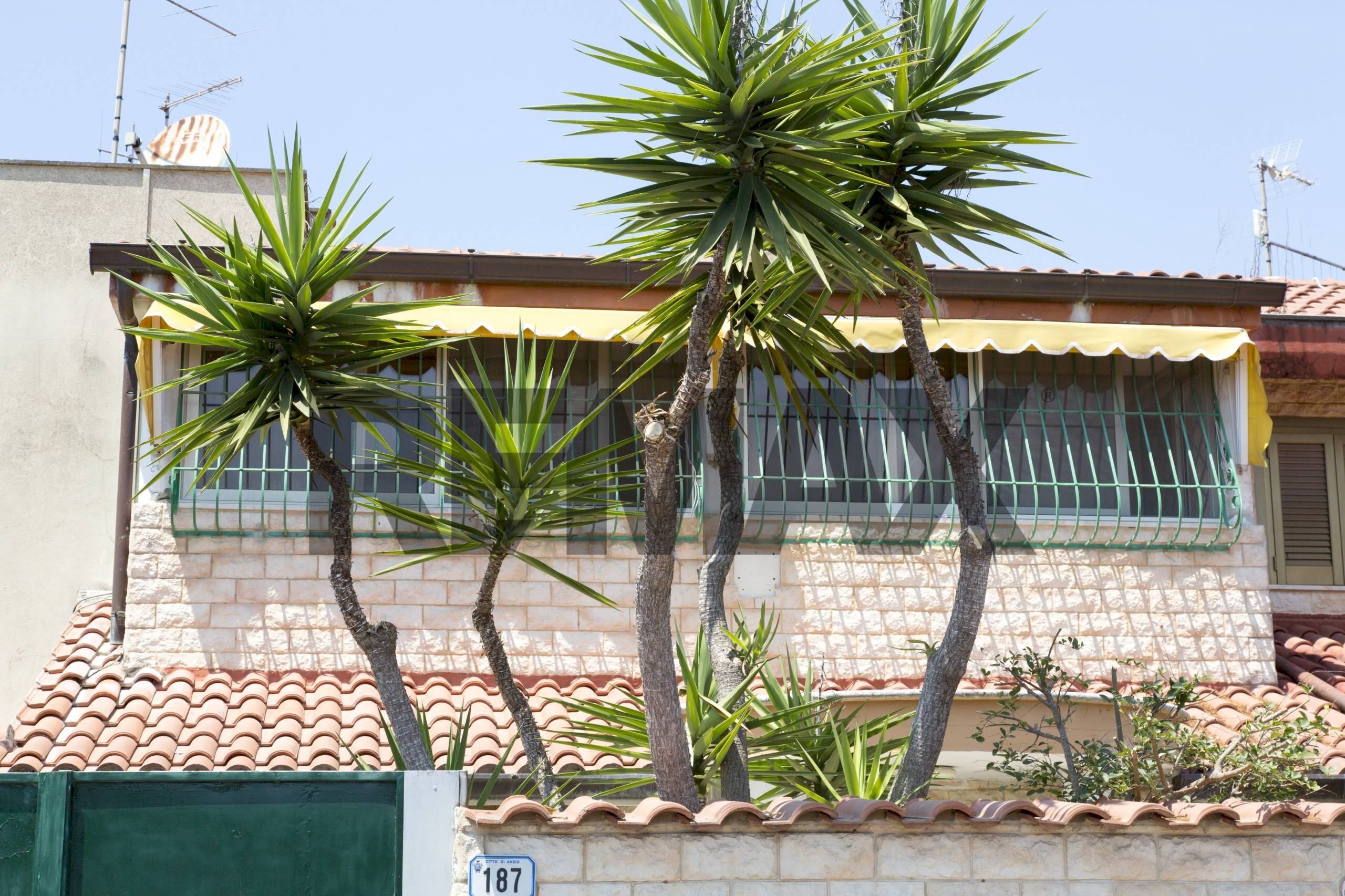 Casa all\'aperto - Villa a Schiera Via dei Gelsi
187/189, Anzio - foto 2
