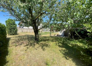 Giardino - Villa via Moschini, Alessandria - foto 11